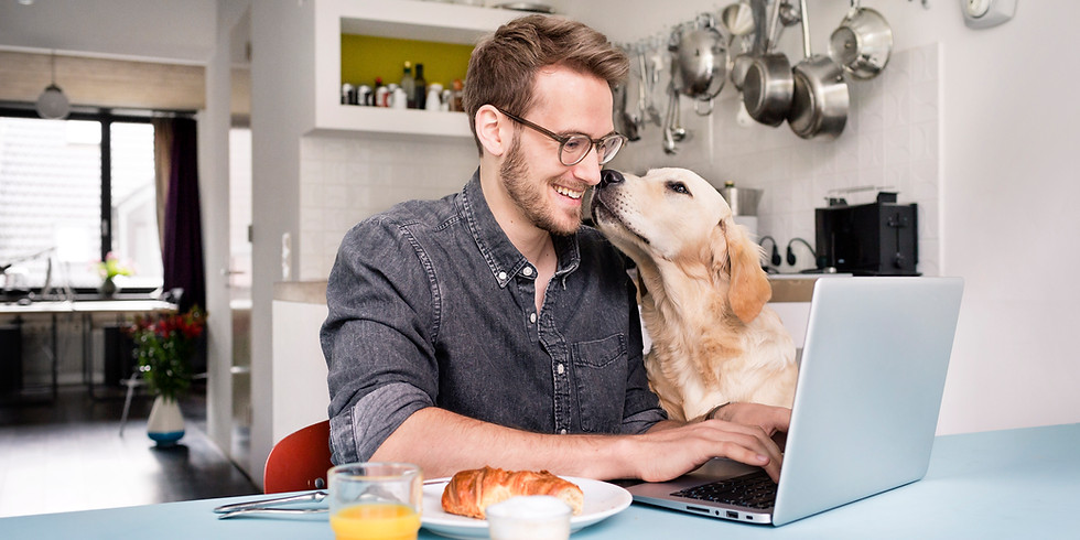 Making the most of Microsoft Teams