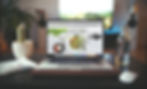 Introduction To The World Of Wix